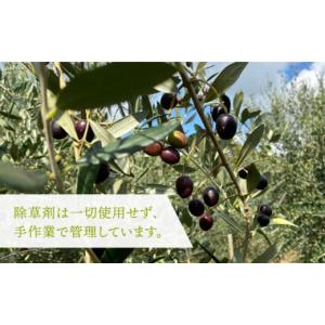 ふるさと納税 化粧水・乳液 美容液・クリーム ...の詳細画像5