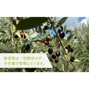 ふるさと納税 化粧水・乳液 美容液・クリーム ...の詳細画像5