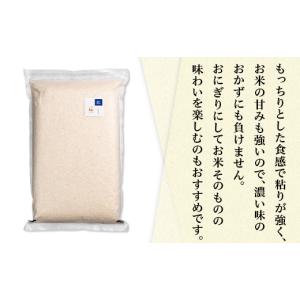 ふるさと納税 米 茨城県 下妻市 令和7年産 ...の詳細画像2