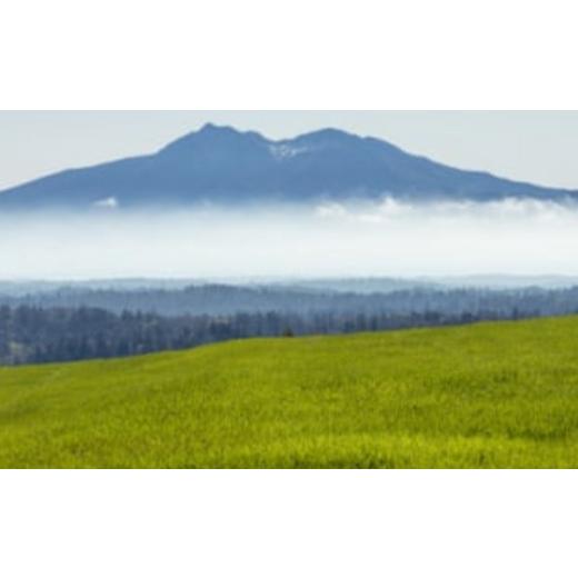 ふるさと納税 宿泊券 北海道 大空町 北海道大空町 旅行割引クーポン券60,000円分 ふるさと納...