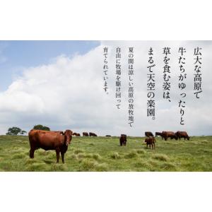 ふるさと納税 牛肉 バラ(カルビ) 秋田県 鹿...の詳細画像3