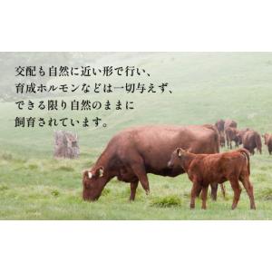 ふるさと納税 牛肉 バラ(カルビ) 秋田県 鹿...の詳細画像4
