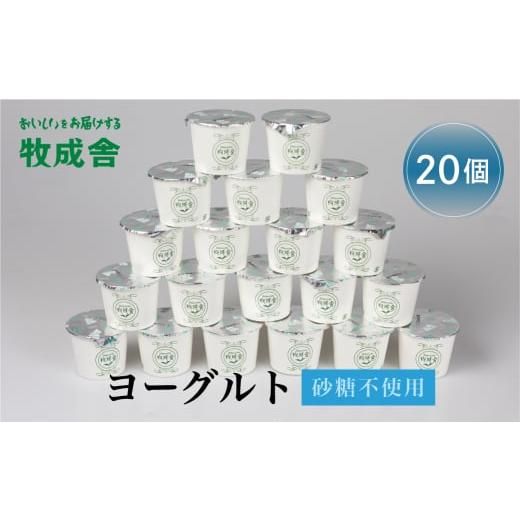 ふるさと納税 飲料類 牛乳 岐阜県 飛騨市 飛騨産ミルクと乳酸菌だけのプレーンヨーグルト20個 砂糖...