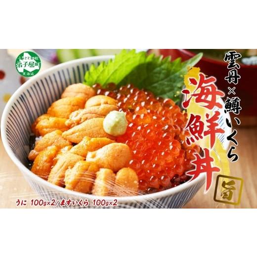 ふるさと納税 いくら 北海道 弟子屈町 3620. うに チリ産 冷凍 200g 鱒いくら醤油漬け ...