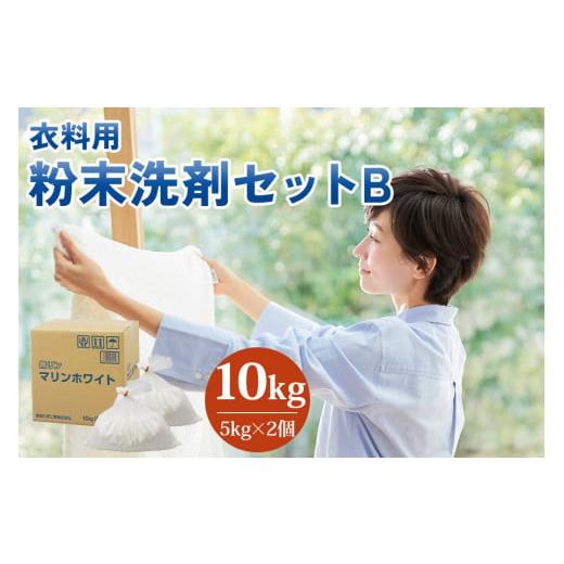 ふるさと納税 岐阜県 本巣市 [生活応援] 粉末洗剤セットB (衣料用 5kg×2個) [0579]