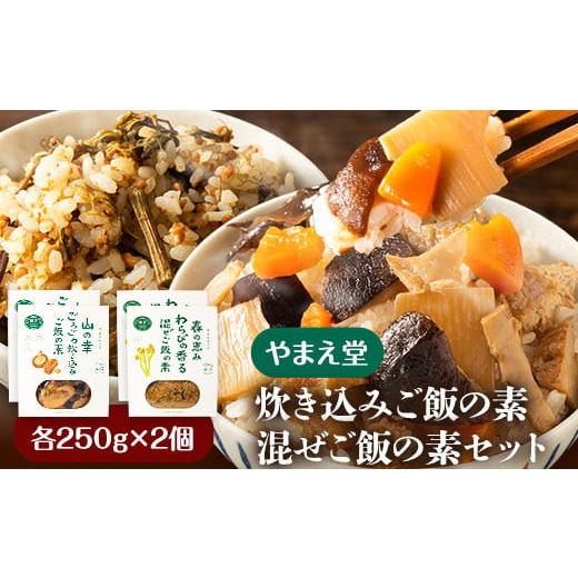 ふるさと納税 熊本県 山江村 炊き込みご飯の素 混ぜご飯の素セット 各250g×2個 有限会社 やま...