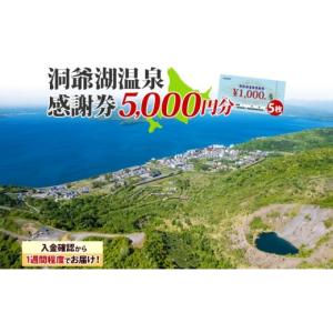 ふるさと納税 北海道 洞爺湖町 洞爺湖温泉感謝券 5000円 分 金券 クーポン 洞爺湖 湖 温泉 リゾート 有珠山 火山 自然 花火 イルミネーション 旅行 観光 宿泊 …｜ふるさとチョイス