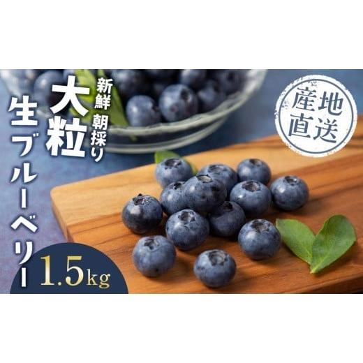 ふるさと納税 山梨県 富士河口湖町 【2024年6月下旬〜発送／先行受付】＜生産者直送＞新鮮朝取り　...