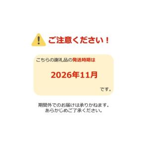 ふるさと納税 りんご 山形県 長井市 2026...の詳細画像2