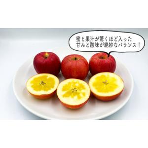 ふるさと納税 りんご 山形県 長井市 2026...の詳細画像3