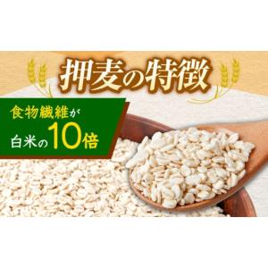 ふるさと納税 雑穀 長崎県 諫早市 7日以内に...の詳細画像2