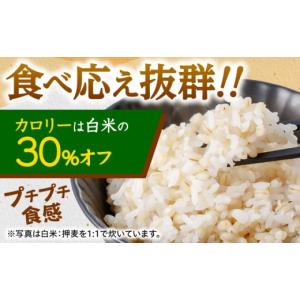 ふるさと納税 雑穀 長崎県 諫早市 7日以内に...の詳細画像3