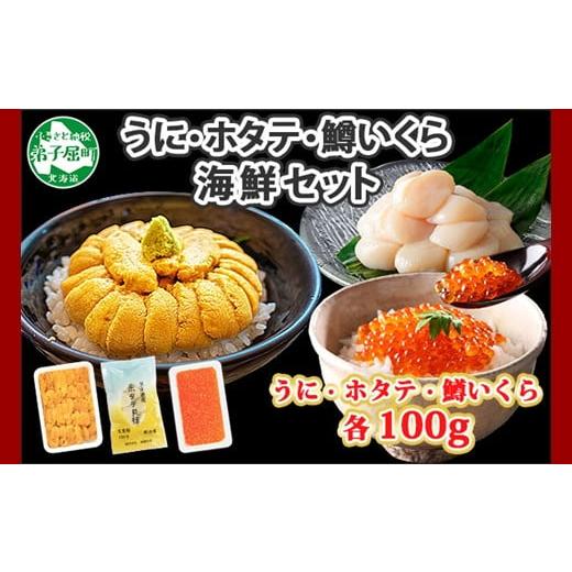 ふるさと納税 北海道 弟子屈町 2939. うに チリ産 冷凍 100g 鱒いくら醤油漬け 100g...