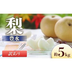 ふるさと納税 梨 長野県 豊丘村 2027年発送...の商品画像