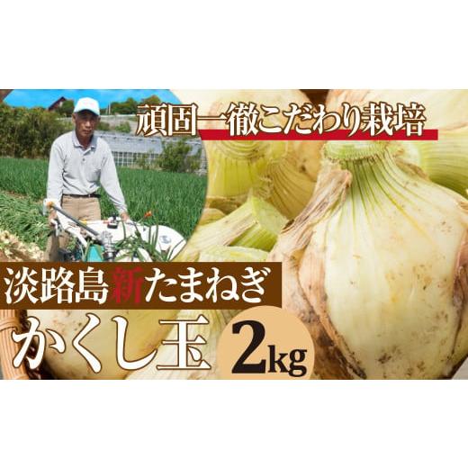 ふるさと納税 兵庫県 淡路市 【新たまねぎ】今井ファームの淡路島たまねぎ「かくし玉」 2kg【発送時...