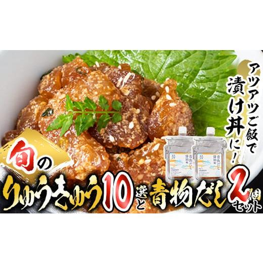 ふるさと納税 大分県 佐伯市 大将の今日のおすすめ！「旬の鮮魚りゅうきゅう10選と青物だし2個セット...