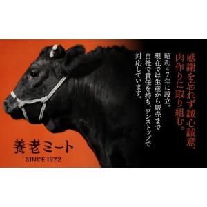 ふるさと納税 牛肉 ステーキ 岐阜県 垂井町 ...の詳細画像4