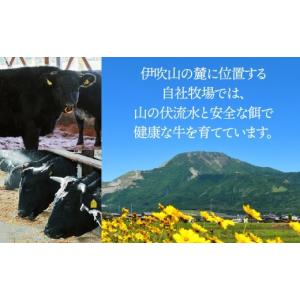 ふるさと納税 牛肉 ステーキ 岐阜県 垂井町 ...の詳細画像5
