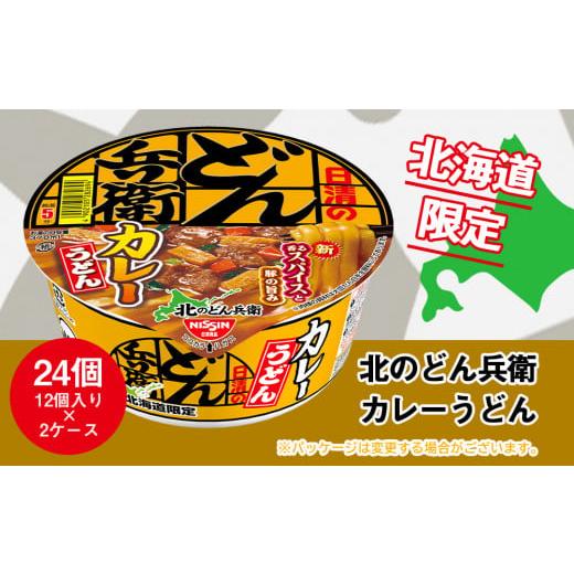 ふるさと納税 北海道 千歳市 日清 北のどん兵衛 カレーうどん [北海道仕様]24個