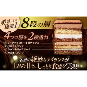 ふるさと納税 ケーキ・カステラ チョコレートケ...の詳細画像5