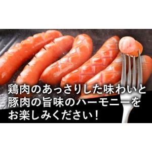 ふるさと納税 肉 ソーセージ 福岡県 古賀市 ...の詳細画像5