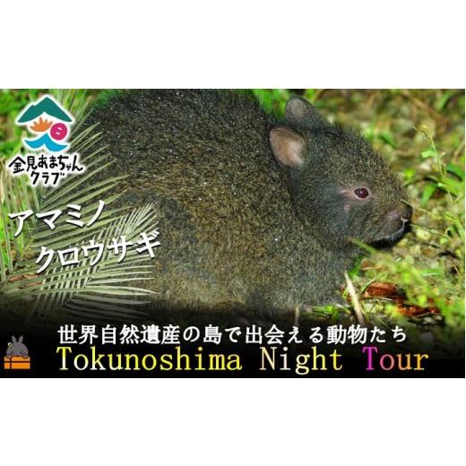 ふるさと納税 鹿児島県 徳之島町 1728アマミノクロウサギが暮らす森へ！ナイトツアー（2名）