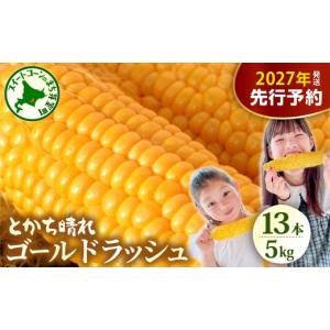 ふるさと納税 とうもろこし 北海道 芽室町 2...の詳細画像1