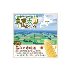 ふるさと納税 とうもろこし 北海道 芽室町 2...の詳細画像5