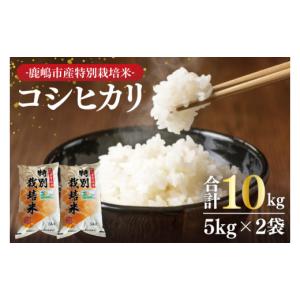 ふるさと納税 米 コシヒカリ 茨城県 鹿嶋市 米 10kg こしひかり ブランド 特別栽培米 国産 精米 白米 お米 米10kg 10キロ kome okome こしひかり 白ご飯 こめ …