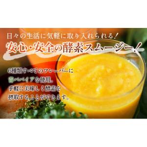 ふるさと納税 果汁飲料 宮崎県 新富町 「定期...の詳細画像2