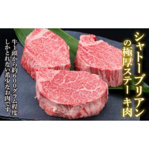 ふるさと納税 牛肉 ヒレ 福岡県 糸島市 全6...の詳細画像2