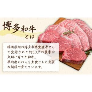 ふるさと納税 牛肉 ヒレ 福岡県 糸島市 全1...の詳細画像4