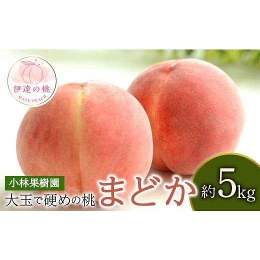 ふるさと納税 もも 福島県 伊達市  2026年出荷分先行予約 福島県産 まどか 約5kg (14~...