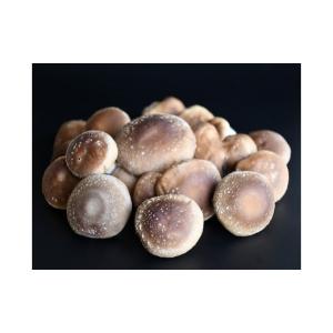 ふるさと納税 米 山形県 最上町 思いやり型返...の詳細画像4