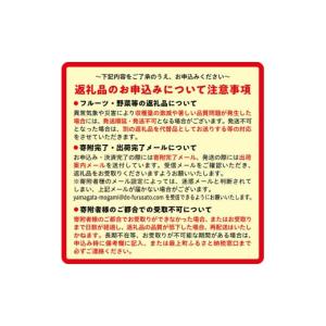 ふるさと納税 米 山形県 最上町 思いやり型返...の詳細画像5