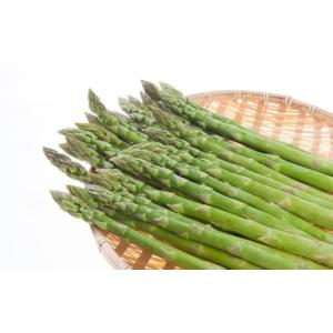 ふるさと納税 米 山形県 最上町 思いやり型返...の詳細画像4