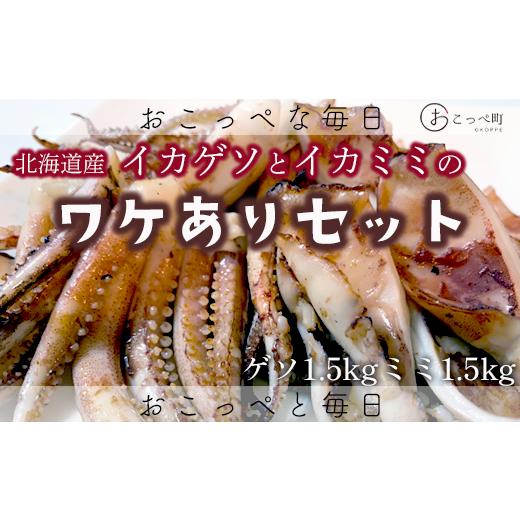 ふるさと納税 北海道 興部町 【ワケあり】わけあって!イカゲソとイカミミ