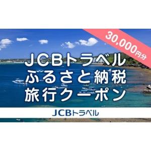 ふるさと納税 沖縄県 恩納村 【恩納村】JCBトラベルふるさと納税旅行クーポン（30,000円分）※JCBカード会員限定