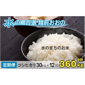 ふるさと納税 米 コシヒカリ 福井県 大野市 令...の商品画像