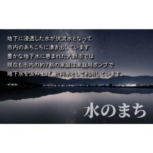 ふるさと納税 福井県 大野市 【令和5年産】【...の詳細画像2