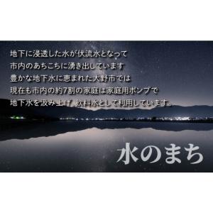 ふるさと納税 米 コシヒカリ 福井県 大野市 ...の詳細画像2