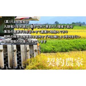 ふるさと納税 米 コシヒカリ 福井県 大野市 ...の詳細画像4