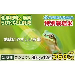 ふるさと納税 米 コシヒカリ 福井県 大野市 令和8年産 新米 12ヶ月定期便 こしひかり 30kg × 12回 計 360kg 白米 減農薬・減化学肥料 「特別栽培米」−地球…