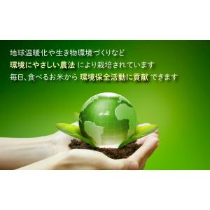 ふるさと納税 米 コシヒカリ 福井県 大野市 ...の詳細画像1