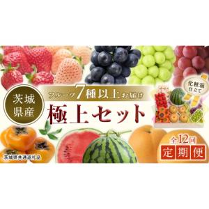 ふるさと納税 果物の詰合せ 茨城県 つくばみらい市 定期便 贅沢の極み フルーツセット 毎月1回1年コース（計12回） 田舎の頑固おやじが厳選 茨城県 県産 つく…