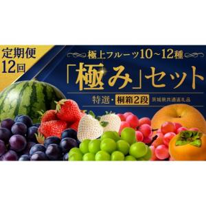 ふるさと納税 果物の詰合せ 茨城県 つくばみら...の詳細画像1