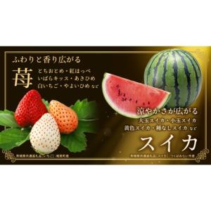 ふるさと納税 果物の詰合せ 茨城県 つくばみら...の詳細画像3