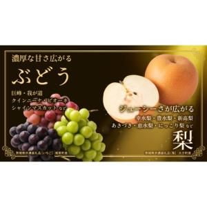 ふるさと納税 果物の詰合せ 茨城県 つくばみら...の詳細画像4