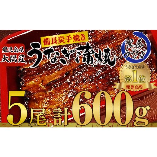 ふるさと納税 鹿児島県 鹿屋市 518-3 【土用の丑の日対応7／7入金まで】【数量限定】鹿児島県大...