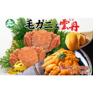ふるさと納税 カニ 毛ガニ 北海道 弟子屈町 ...の詳細画像1